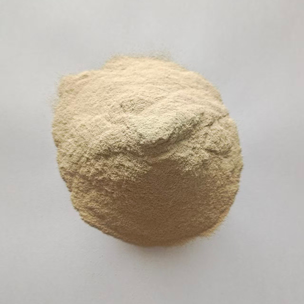 20260119183402185122 20260119183402185122